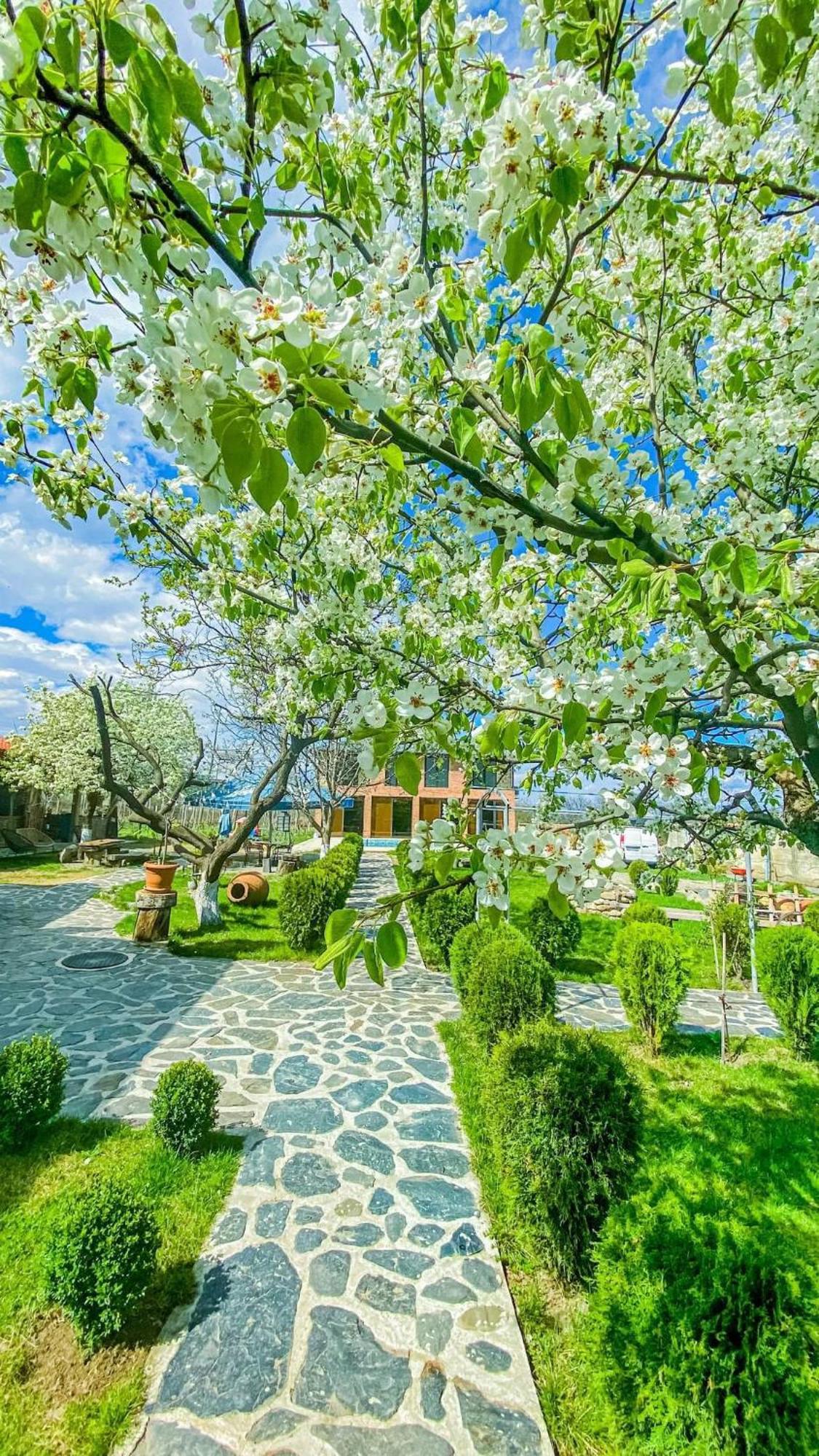 Chateau Iqaltʼo Εξωτερικό φωτογραφία